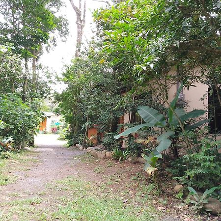 Casitas Del Bosque Monteverde. Phòng bức ảnh