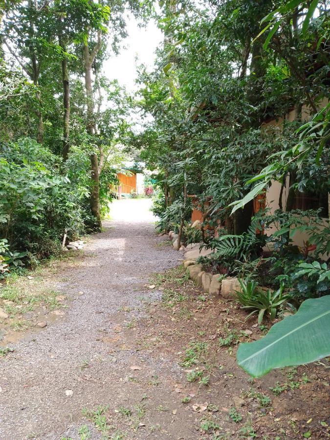 Casitas Del Bosque Monteverde. Ngoại thất bức ảnh
